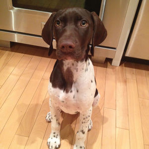 Meet your Posher, Jamie